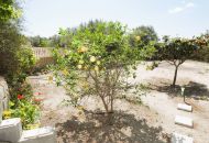 Sale - Finca - Dolores