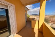 Sale - Finca - Pinoso