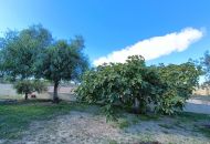 Venta - Casa Rural - Hondon de los Frailes