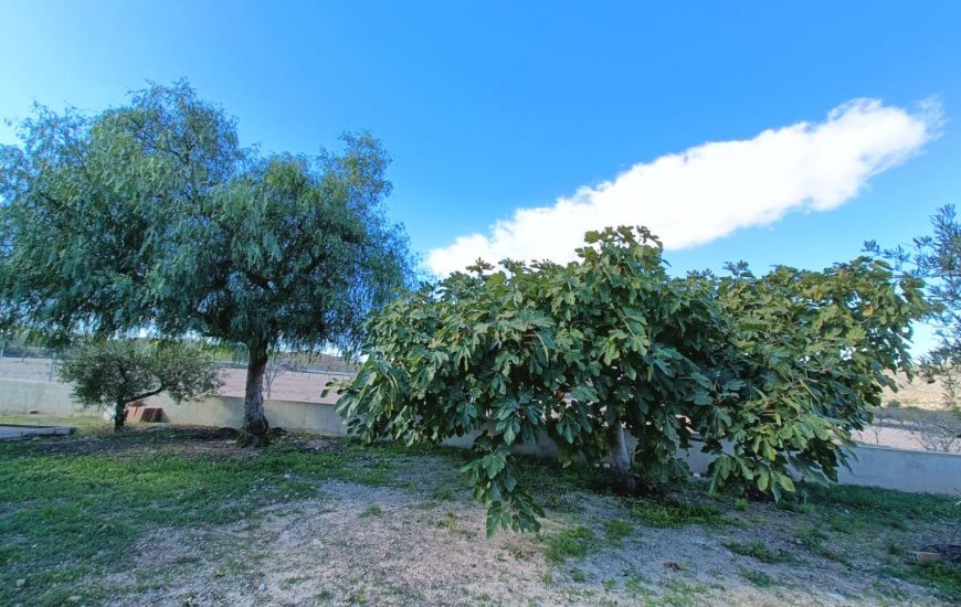 Venta - Casa Rural - Hondon de los Frailes