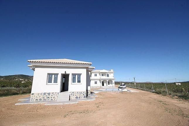 New Build - Villa - Pinoso