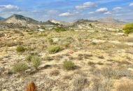 Venta - Terreno - Aspe