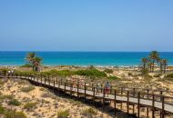 Nueva construcción  - Apartamentos - Arenales del Sol