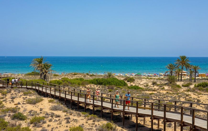 Nueva construcción  - Apartamentos - Arenales del Sol