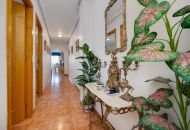 Sale - Apartamento - Torrevieja