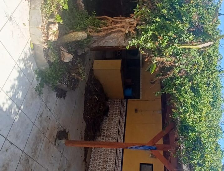 Venta - Casa Rural - Rojales