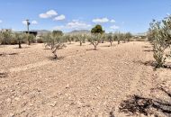 Venta - Casa Rural - Aspe