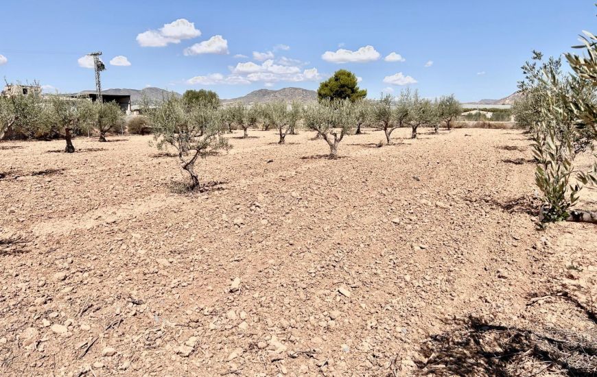Venta - Casa Rural - Aspe