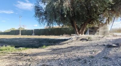 Land - Sale - Novelda - Novelda