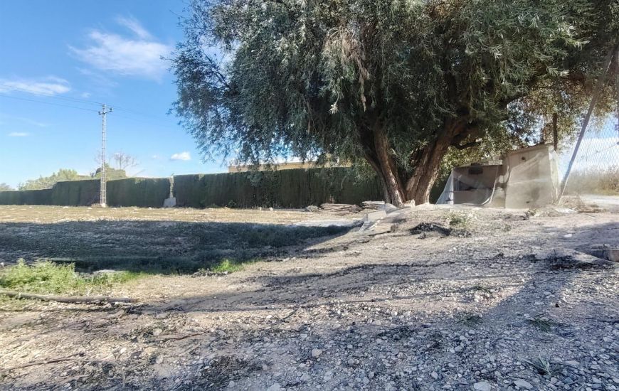 Venta - Terreno - Novelda