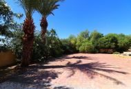Sale - Finca - Catral