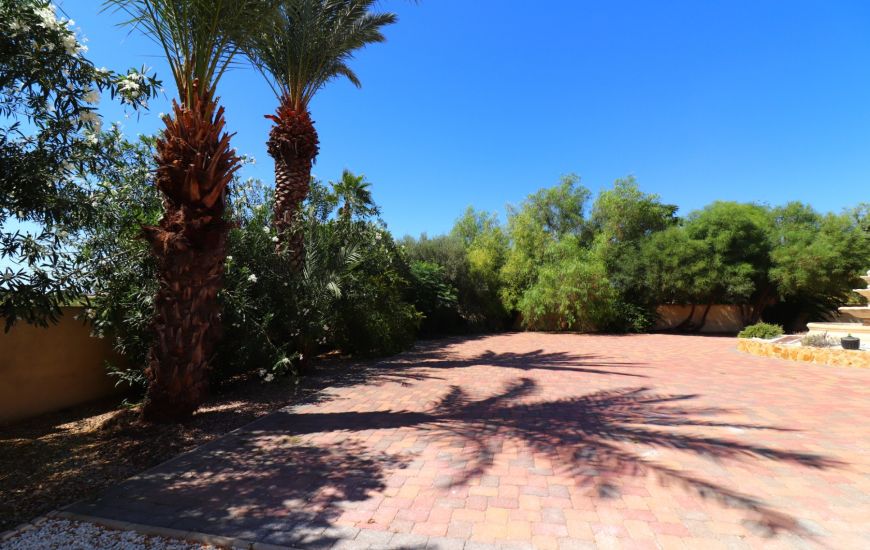 Sale - Finca - Catral