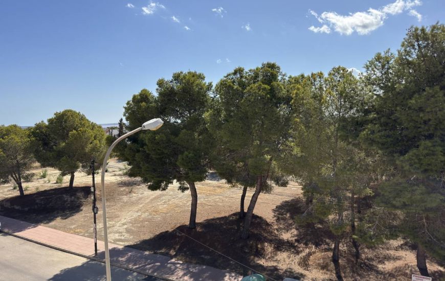 Sale - Villa - 