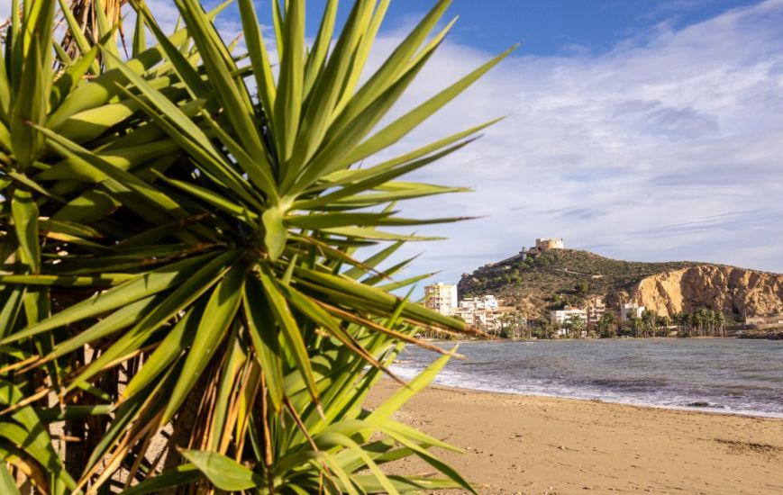 New Build - Apartments - Aguilas