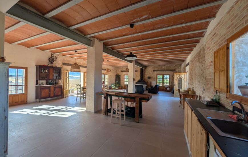 Sale - Finca - Salinas