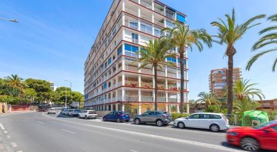 Apartments - Sale - Alicante - Alicante