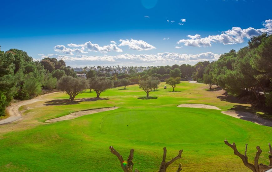 Sale - Villa - Orihuela Costa