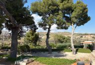 Sale - Finca - Elche