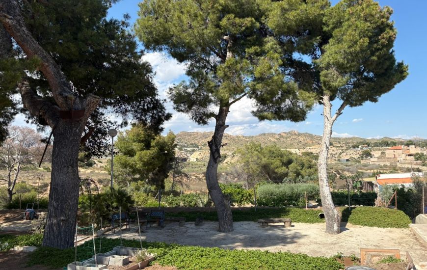 Sale - Finca - Elche