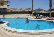 Venta - Apartamentos - Playa Flamenca - Play Flamenca