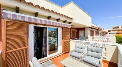Apartamentos -  - Playa Flamenca - Playa Flamenca