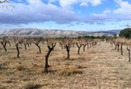 Venta - Terreno - Biar