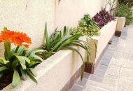 Sale - Apartments - Torrevieja