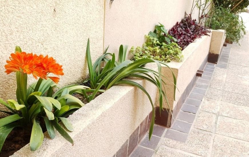 Sale - Apartments - Torrevieja