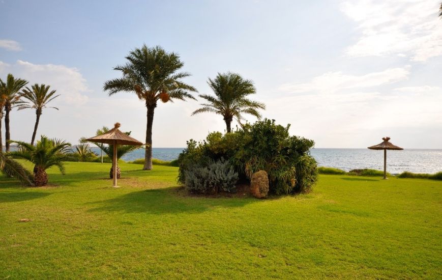 New Build - Apartments - Torrevieja