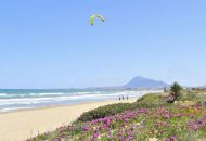 Venta - Apartamentos - 