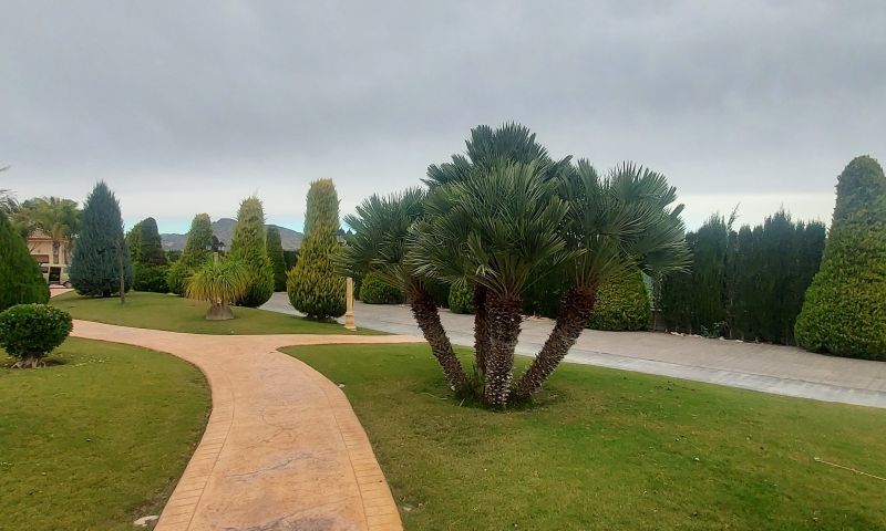 Sale - Villa - Hondón de las Nieves