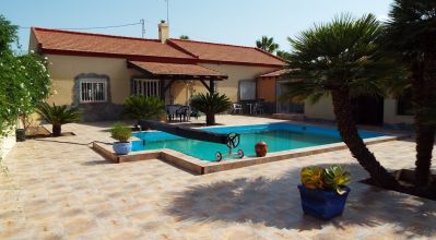Finca - Sale - Catral - Catral
