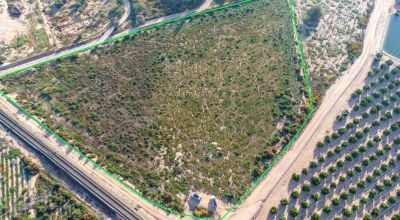 Land - Sale - Crevillente - Crevillent