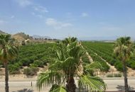 Venta - Apartamentos - Algorfa