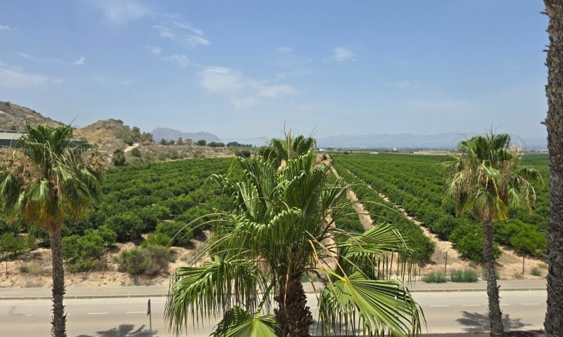 Venta - Apartamentos - Algorfa