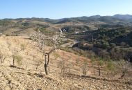 Sale - Land - Murcia