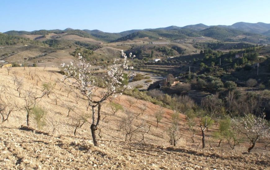 Sale - Land - Murcia