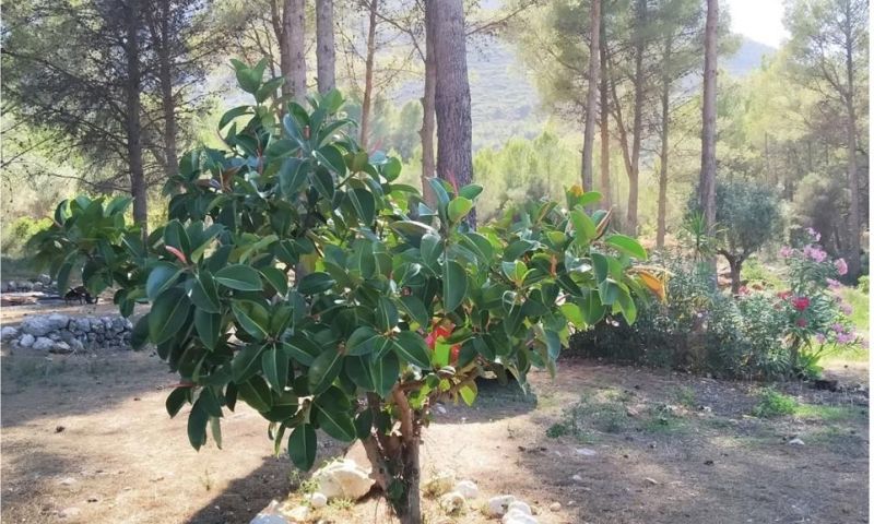 Sale - Villa - Parcent