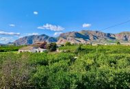 Venta - Casa Rural - Orihuela