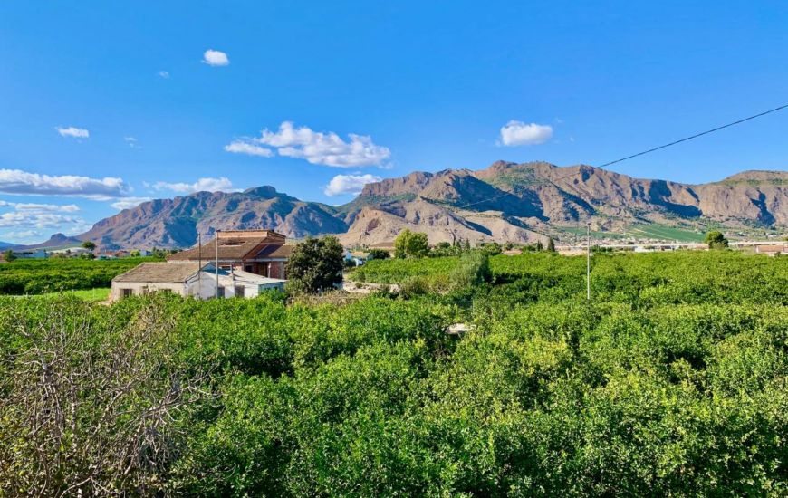 Venta - Casa Rural - Orihuela
