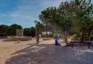 Sale - Apartments - Torrevieja