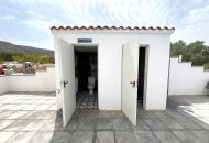 Sale - Finca - Sax