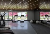 Nueva construcción  - Apartamentos - Campoamor