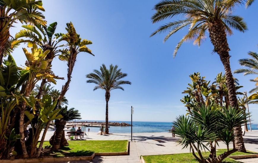 Sale - Apartments - Torrevieja