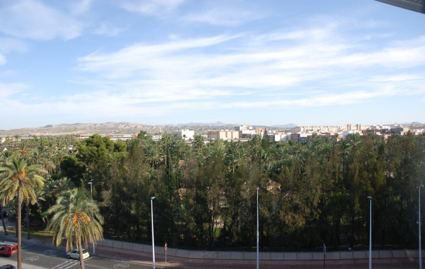New Build - Apartments - Elche
