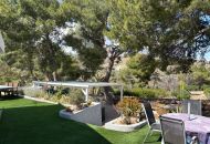 Sale - Finca - Elche