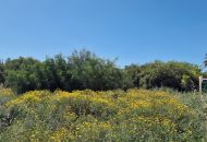 Venta - Building Plot - Torrevieja