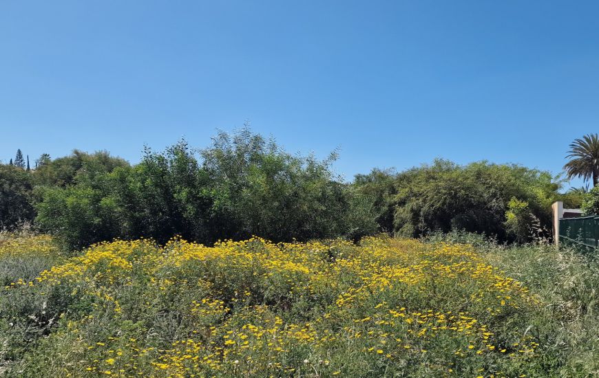 Venta - Building Plot - Torrevieja