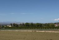Venta - Casa Rural - Catral