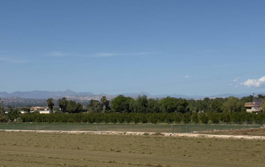 Venta - Casa Rural - Catral